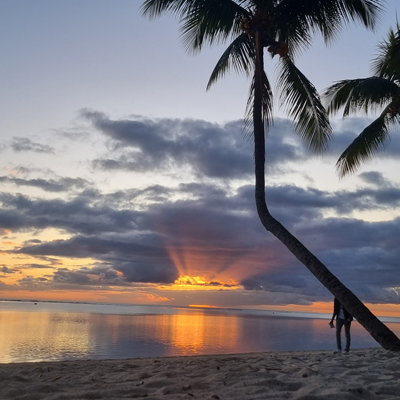 Explore Mauritius - Burna Boy Live In Mauritius